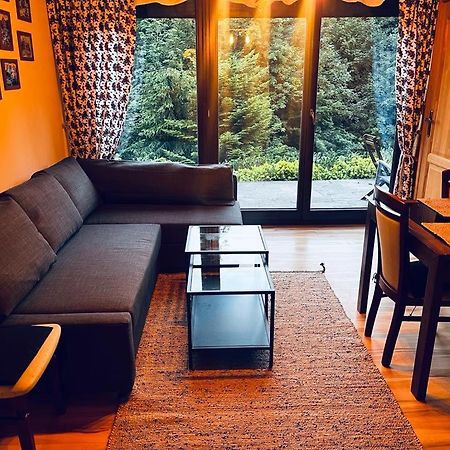 Butorowy Cichy Potok Apartment กอสเชียลิสกอ ภายนอก รูปภาพ