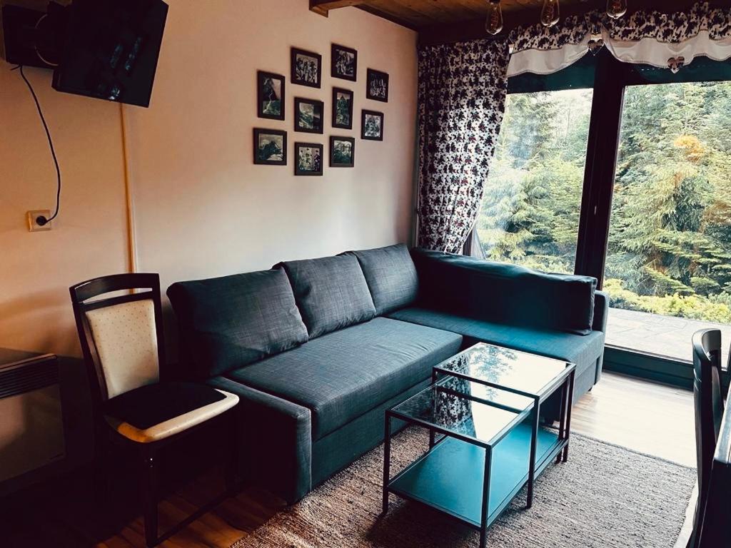 Butorowy Cichy Potok Apartment กอสเชียลิสกอ ภายนอก รูปภาพ